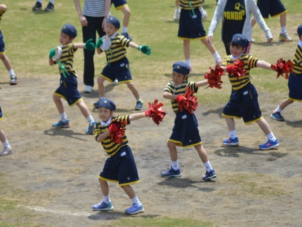 DSC_0008.jpg1.jpg1.jpg