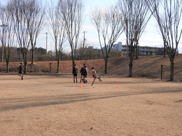 20220208DSCN5380.JPG