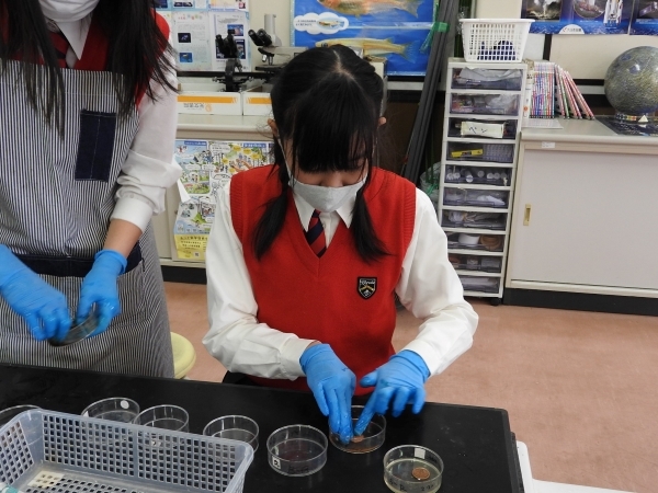 20220319cDSCN6796.JPG