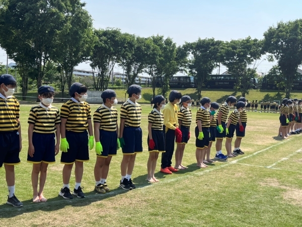 S__70852616.jpg