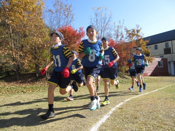 20231122S__79405064.jpg