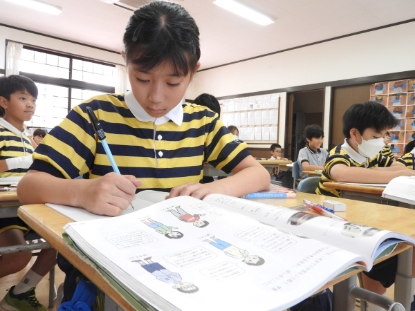 S__78077970.jpg
