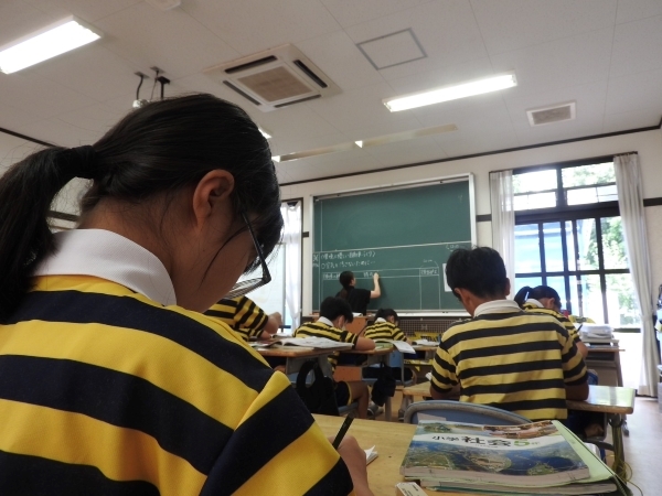 S__78077971.jpg