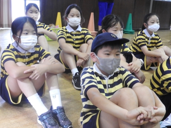 S__78168071.jpg