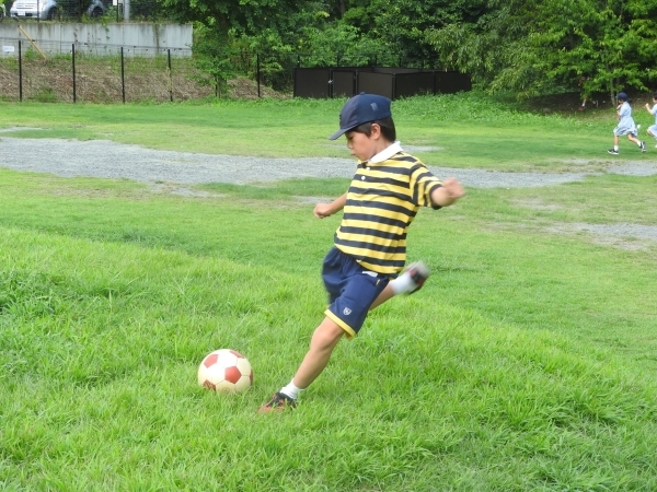 S__78168074.jpg