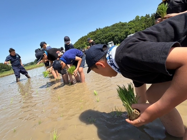 田植え体験~汗を流して,泥だらけで学ぶ。