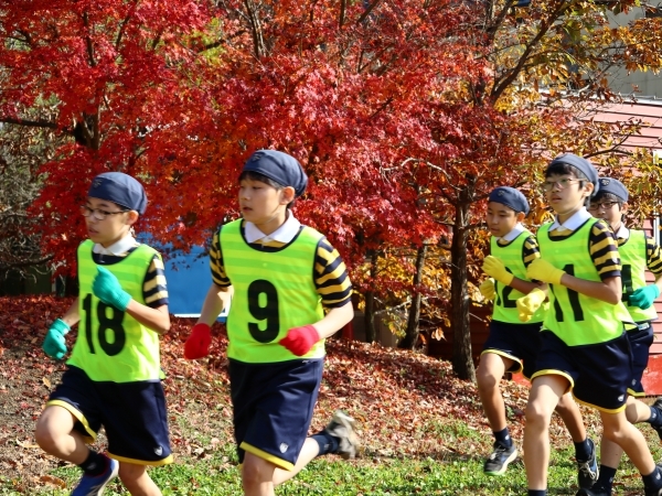6  2024.11.27  IMG_1781.JPG