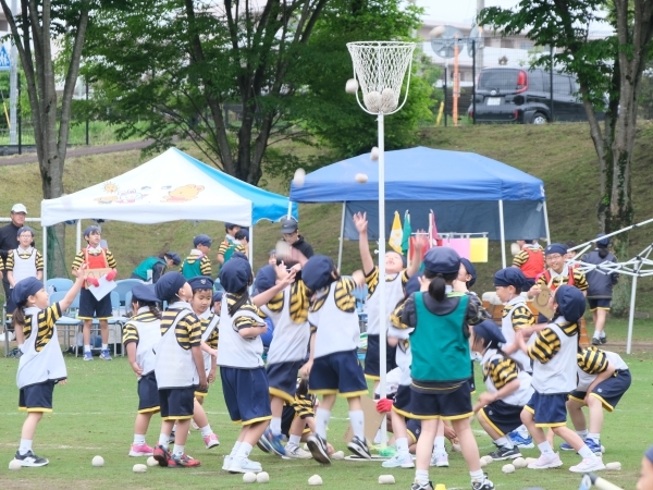 3  2025.5.19  DSCF0917.JPG