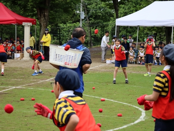 4  2025.5.19  IMG_2260.JPG