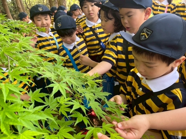 LINE_ALBUM_ビオトープ春_250419_5.jpg