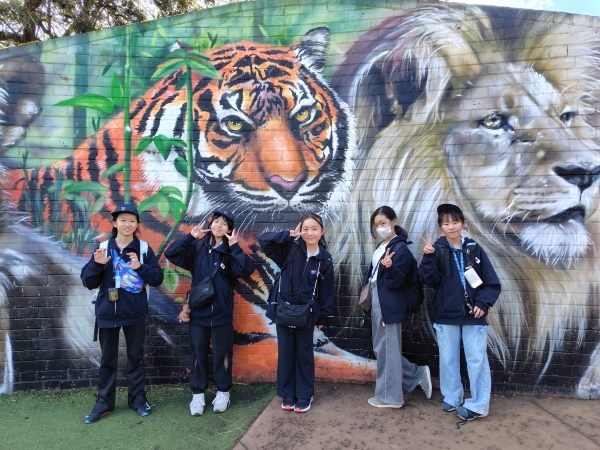 tmp_f5903d84-38aa-4376-aebe-d1b640939f37.jpeg
