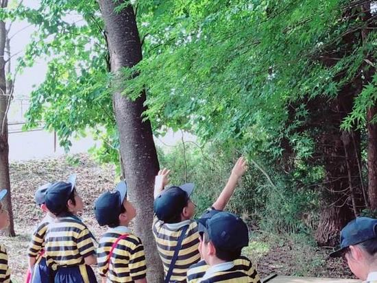 1・2年生 校外学習