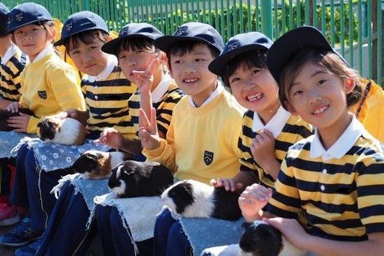 1年生 かみね動物園遠足