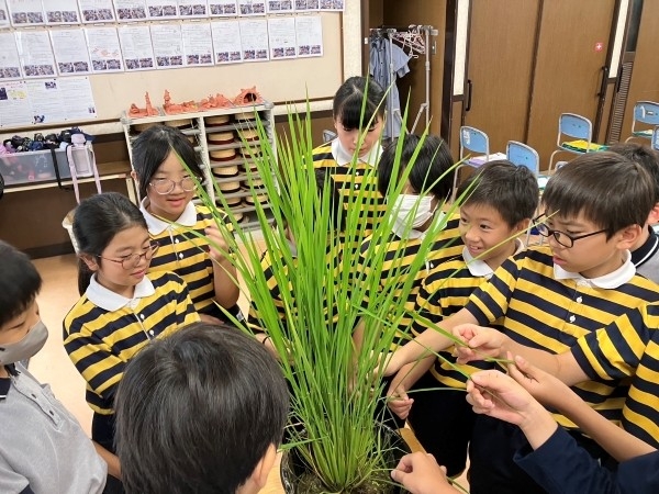 実物を通して学ぶ