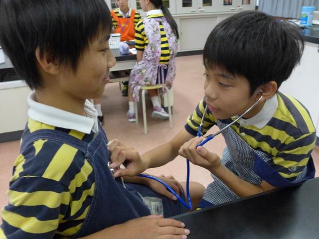 6年生 理科の学習